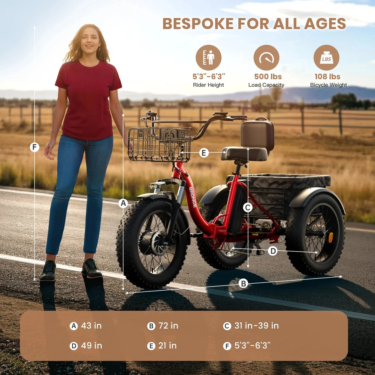 Qronge 960W Peak Motor Adult Folding Electric Tricycle