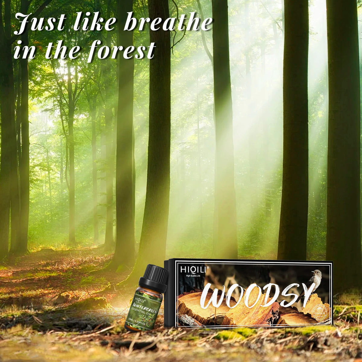 Hiqili Woody Fragrance Essential Oil Set For Aromatherapy And Crafts