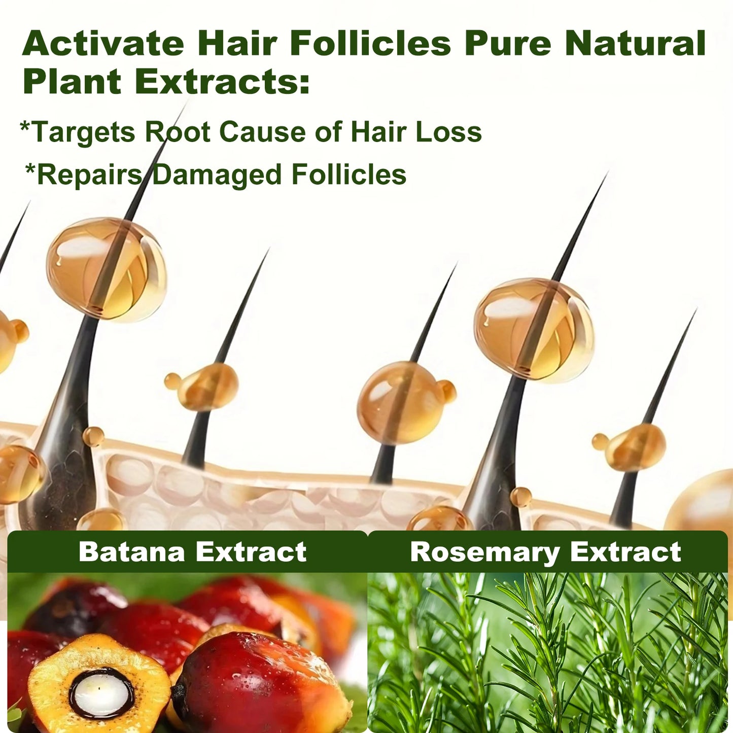 Rosemary Batana Oil Shampoo Boosts Hair Growth Strengthens Strands Pure